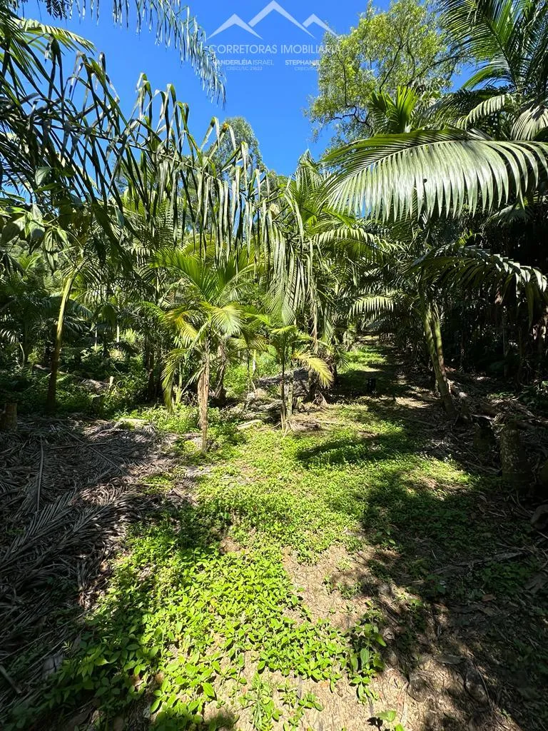 TERRENO, Testo Rega, Pomerode - SC — foto 3