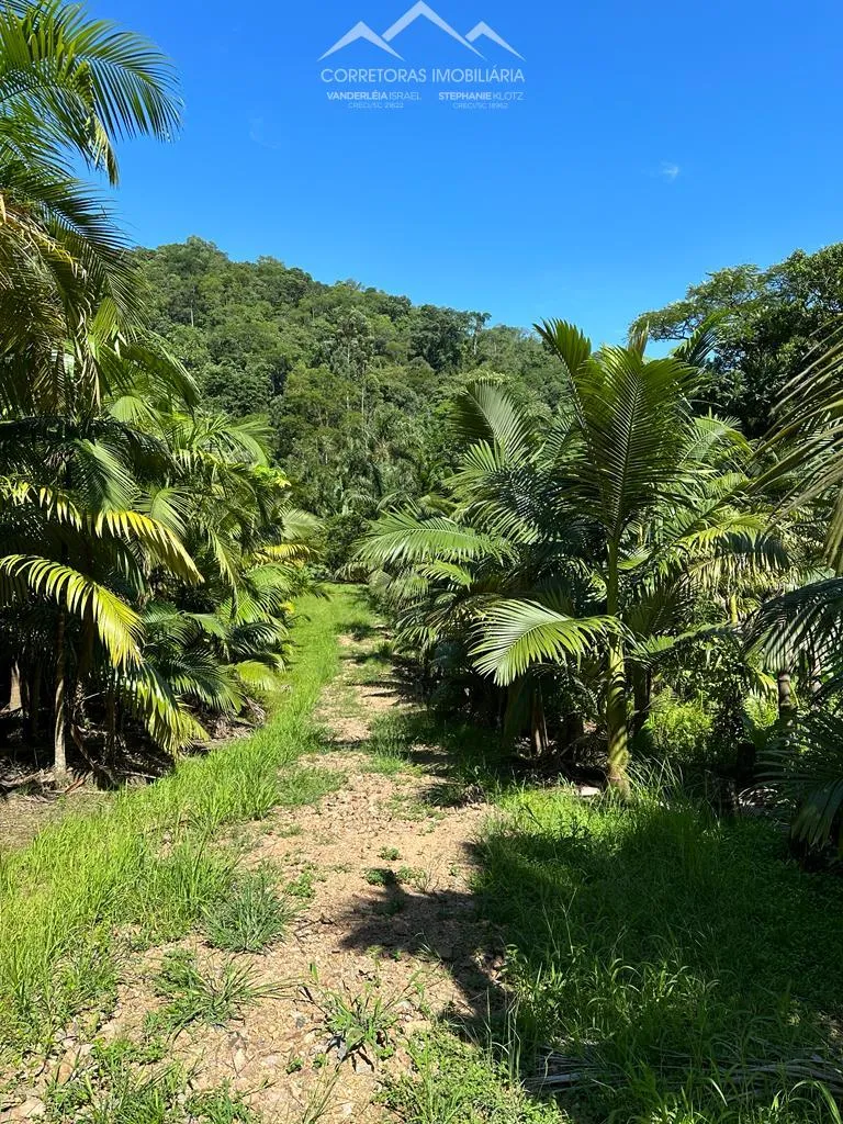 TERRENO, Testo Rega, Pomerode - SC — foto 4