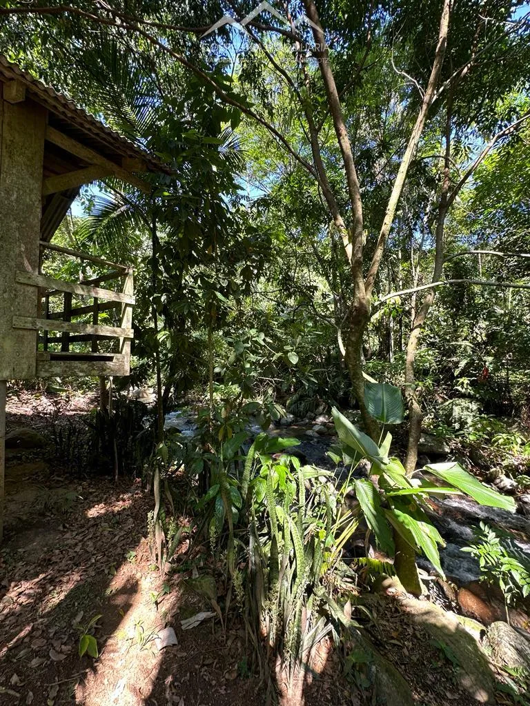 TERRENO, Testo Rega, Pomerode - SC — foto 5