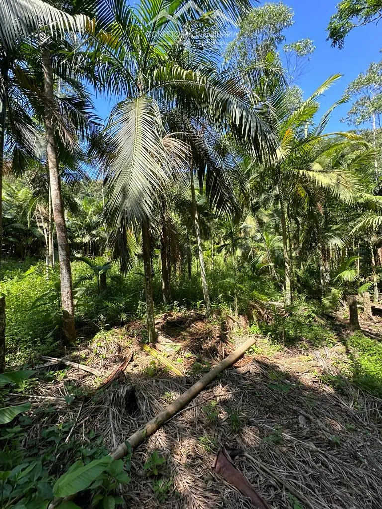 TERRENO, Testo Rega, Pomerode - SC — foto 7