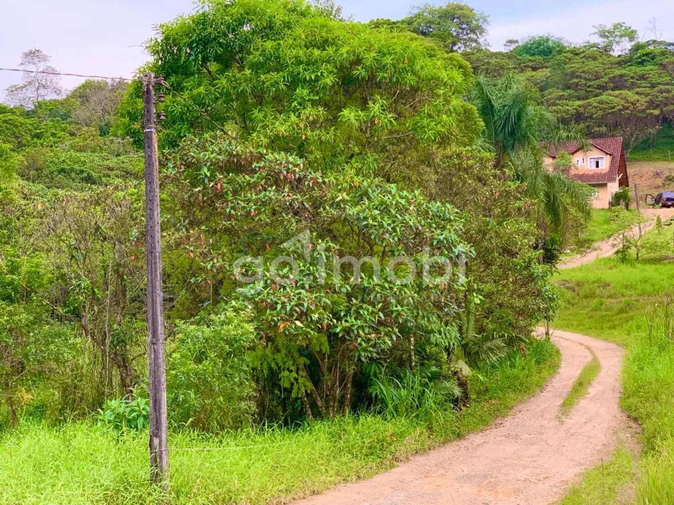Terreno urbano com amplo potencial, lotes para condomínio ou predial em Timbó. — foto 3