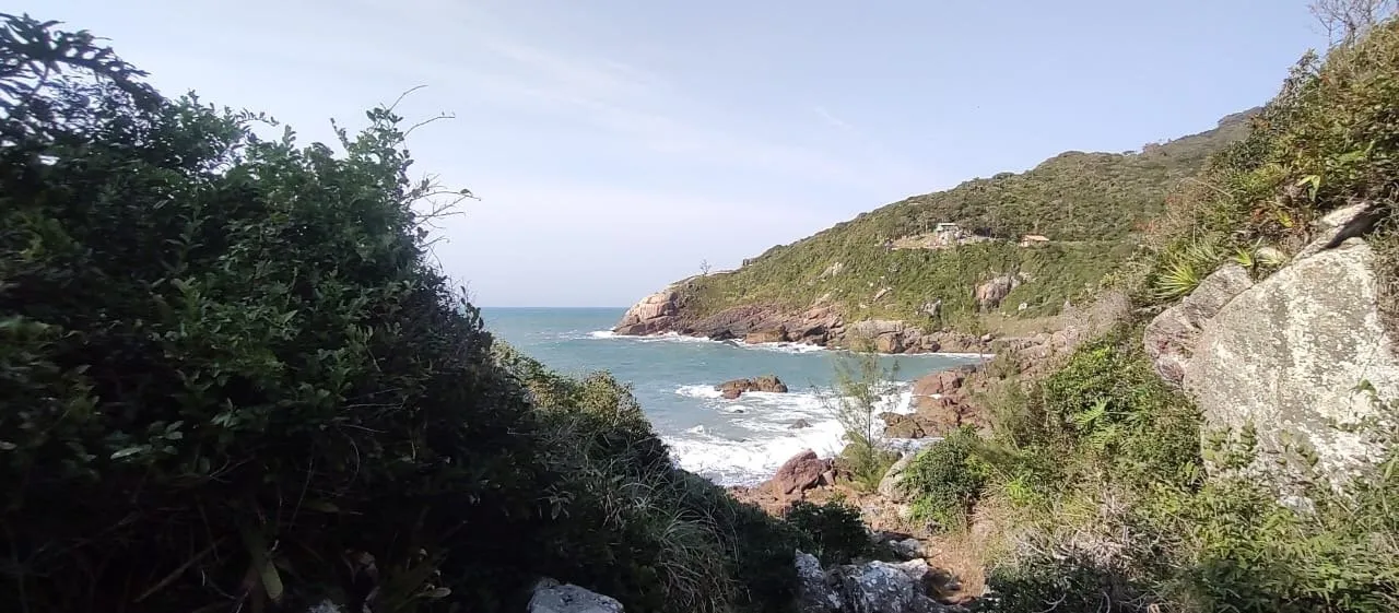 Imóvel - foto 1