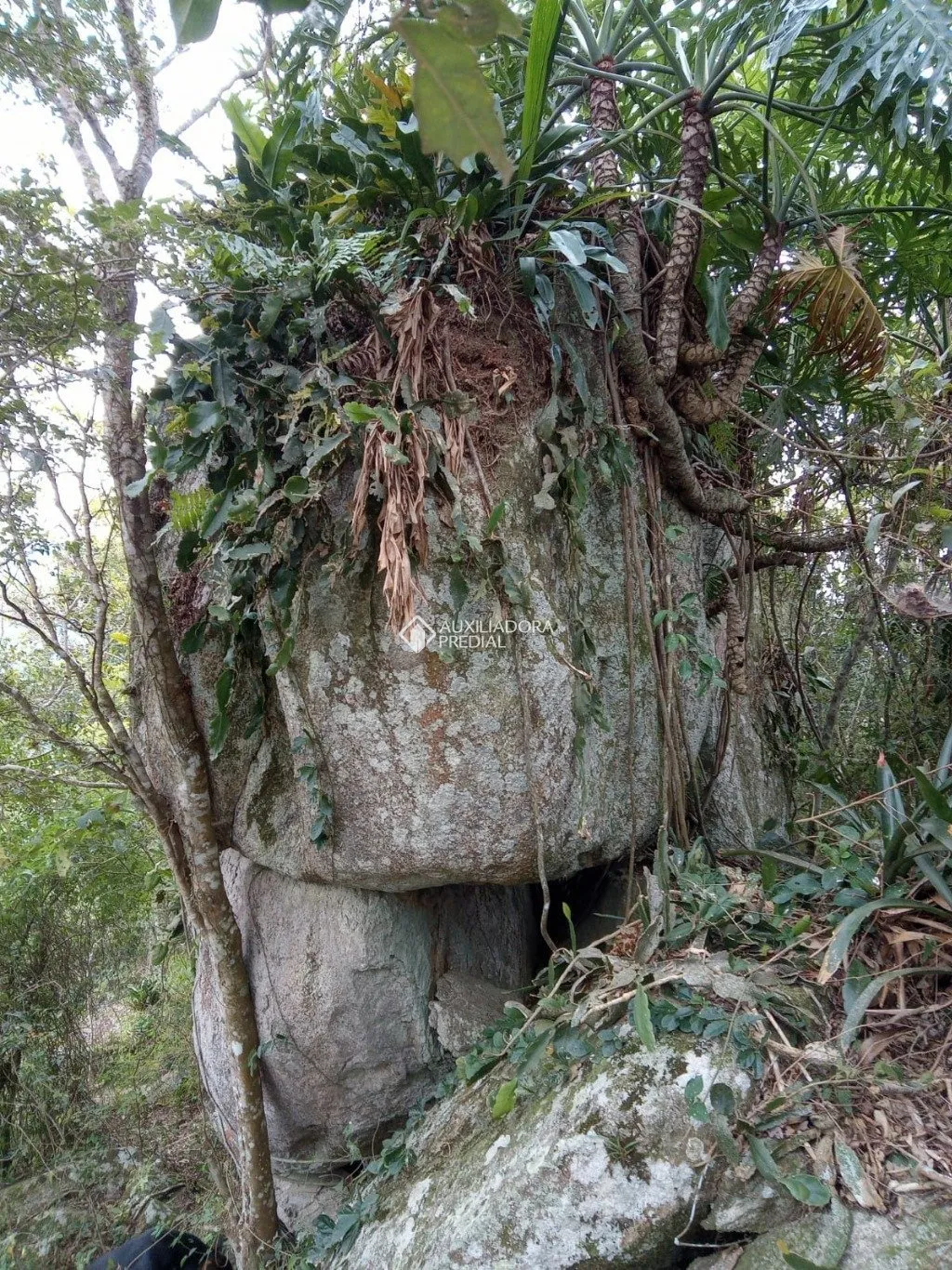 Imóvel — foto 5