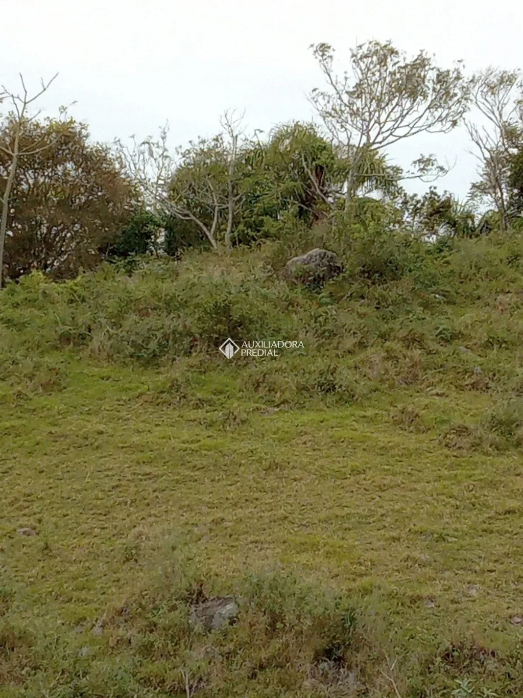 Imóvel — foto 7
