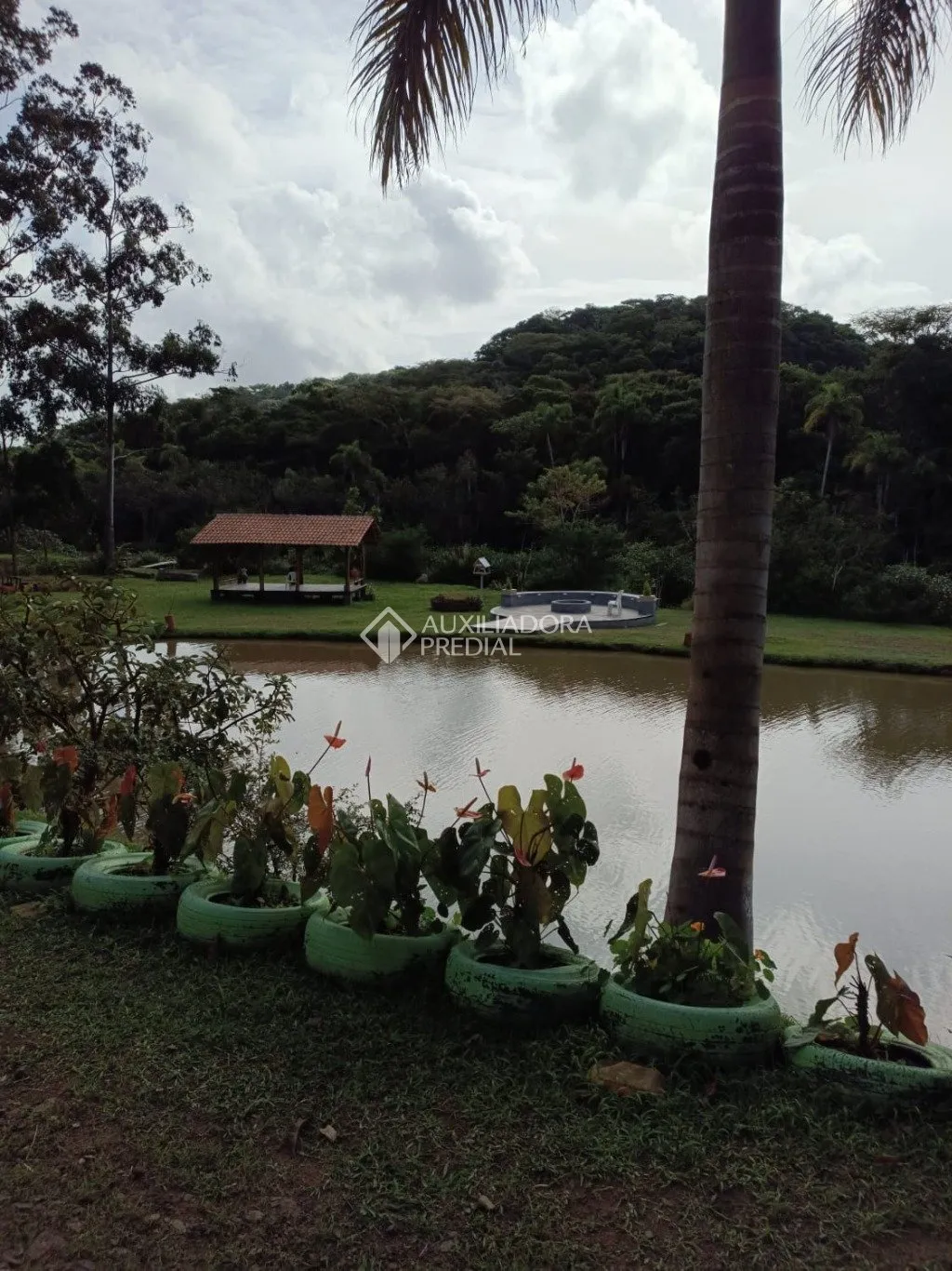 Imóvel - foto 1