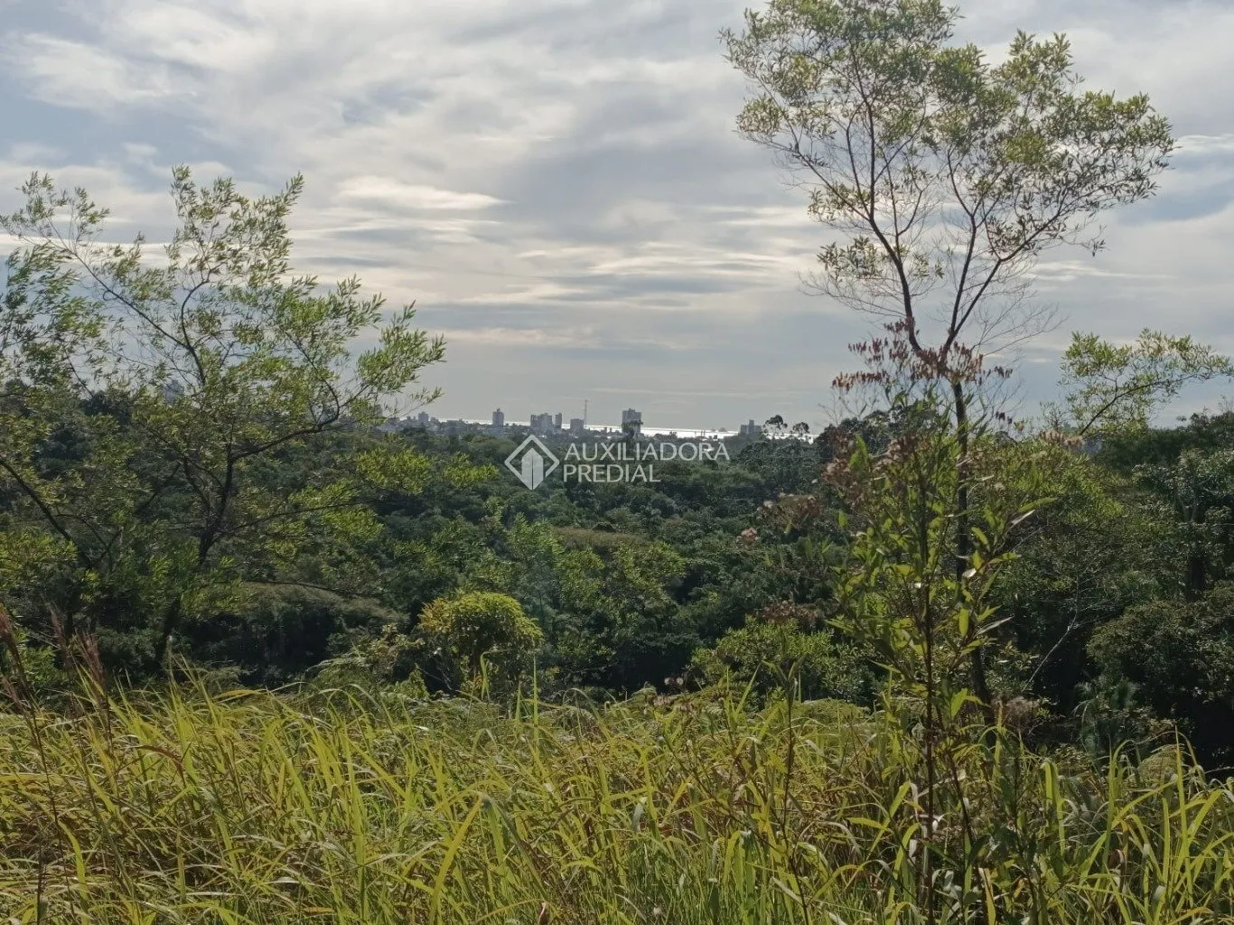 Imóvel — foto 6