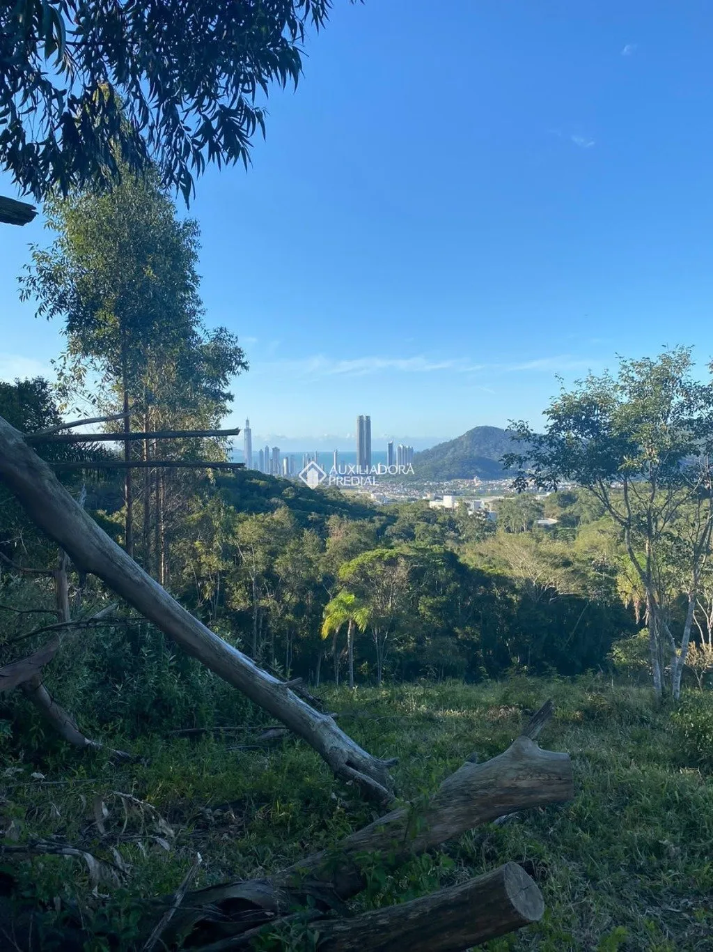 Imóvel — foto 5