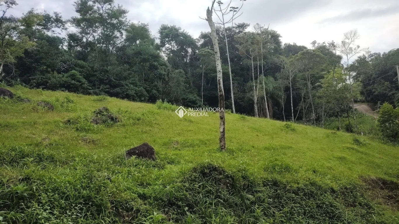 Imóvel - foto 1
