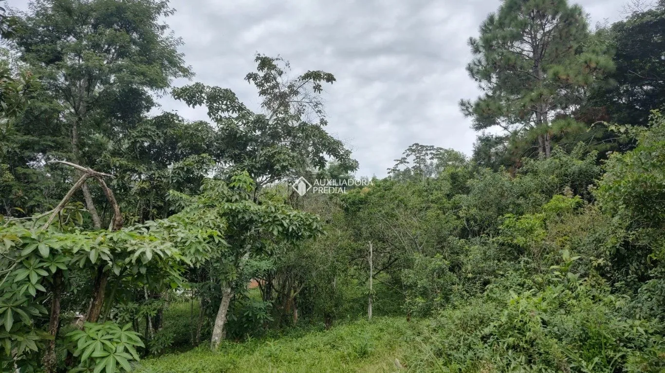 Imóvel — foto 6