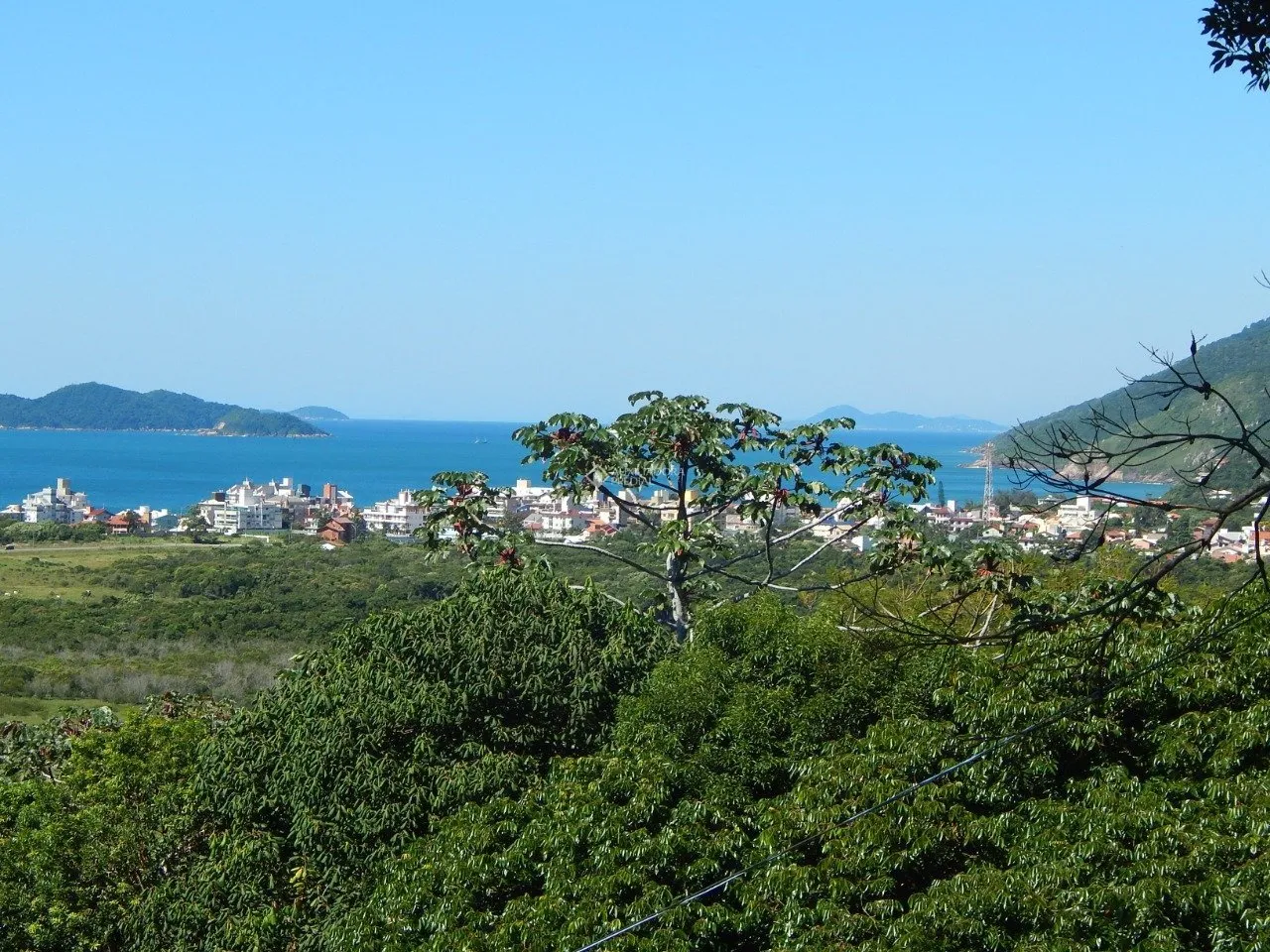 Imóvel Rural à venda com 2 quartos, 20000m² na Rozália Paulina Ferreira no Pântano do Sul, Florianópolis — foto 2