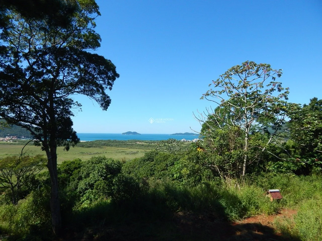 Imóvel Rural à venda com 2 quartos, 20000m² na Rozália Paulina Ferreira no Pântano do Sul, Florianópolis — foto 3