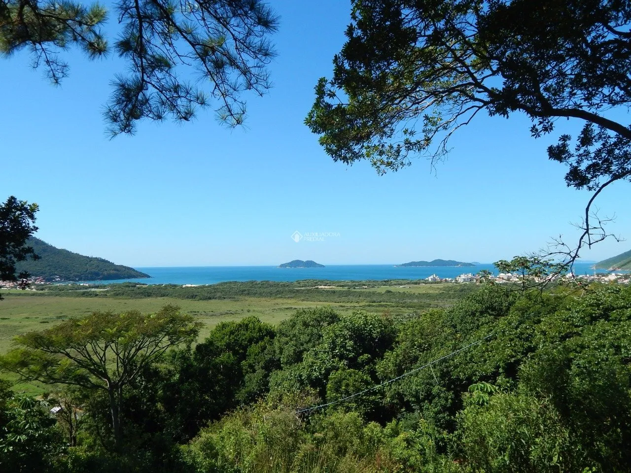 Imóvel Rural à venda com 2 quartos, 20000m² na Rozália Paulina Ferreira no Pântano do Sul, Florianópolis — foto 4