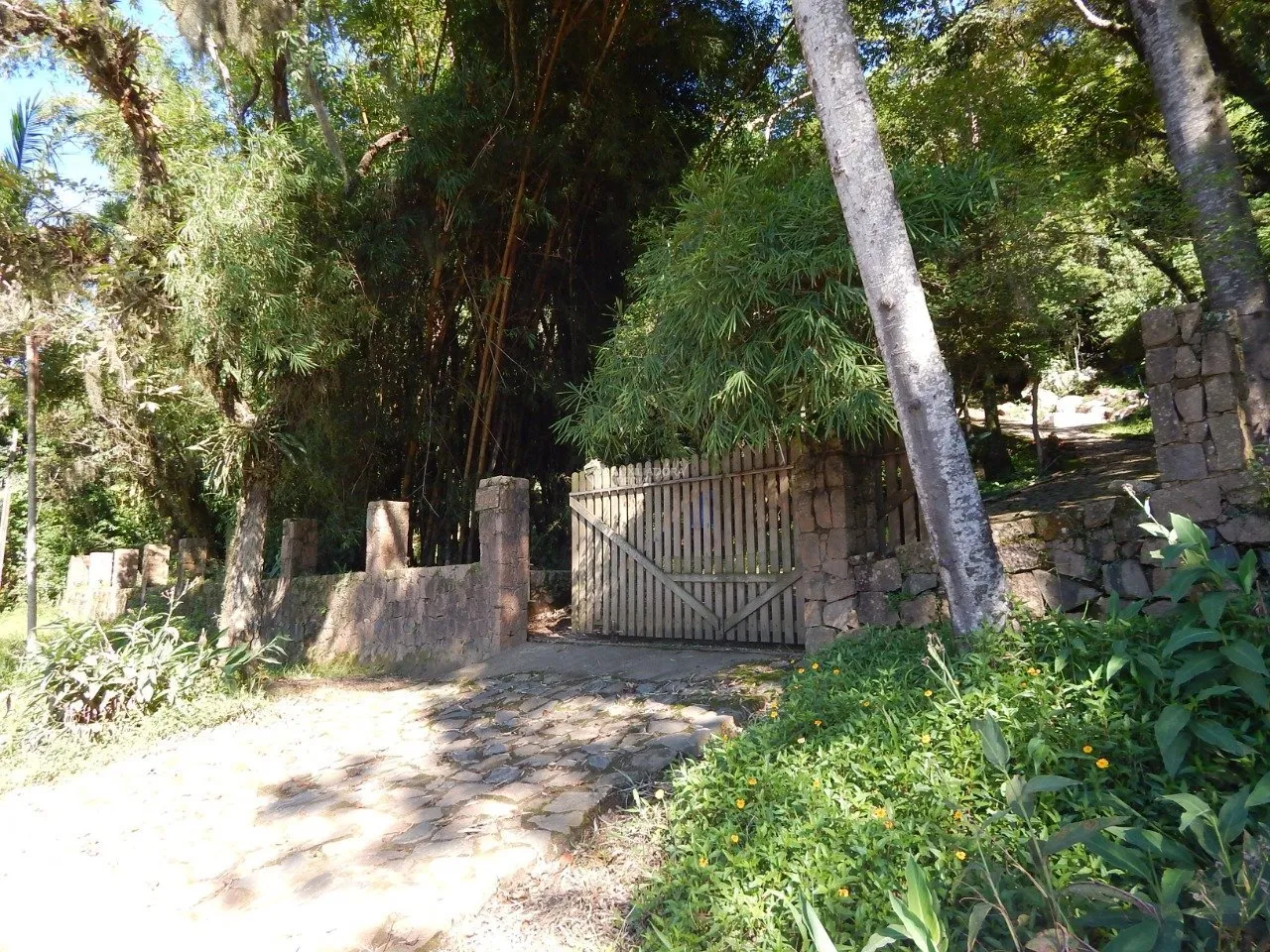 Imóvel Rural à venda com 2 quartos, 20000m² na Rozália Paulina Ferreira no Pântano do Sul, Florianópolis — foto 5