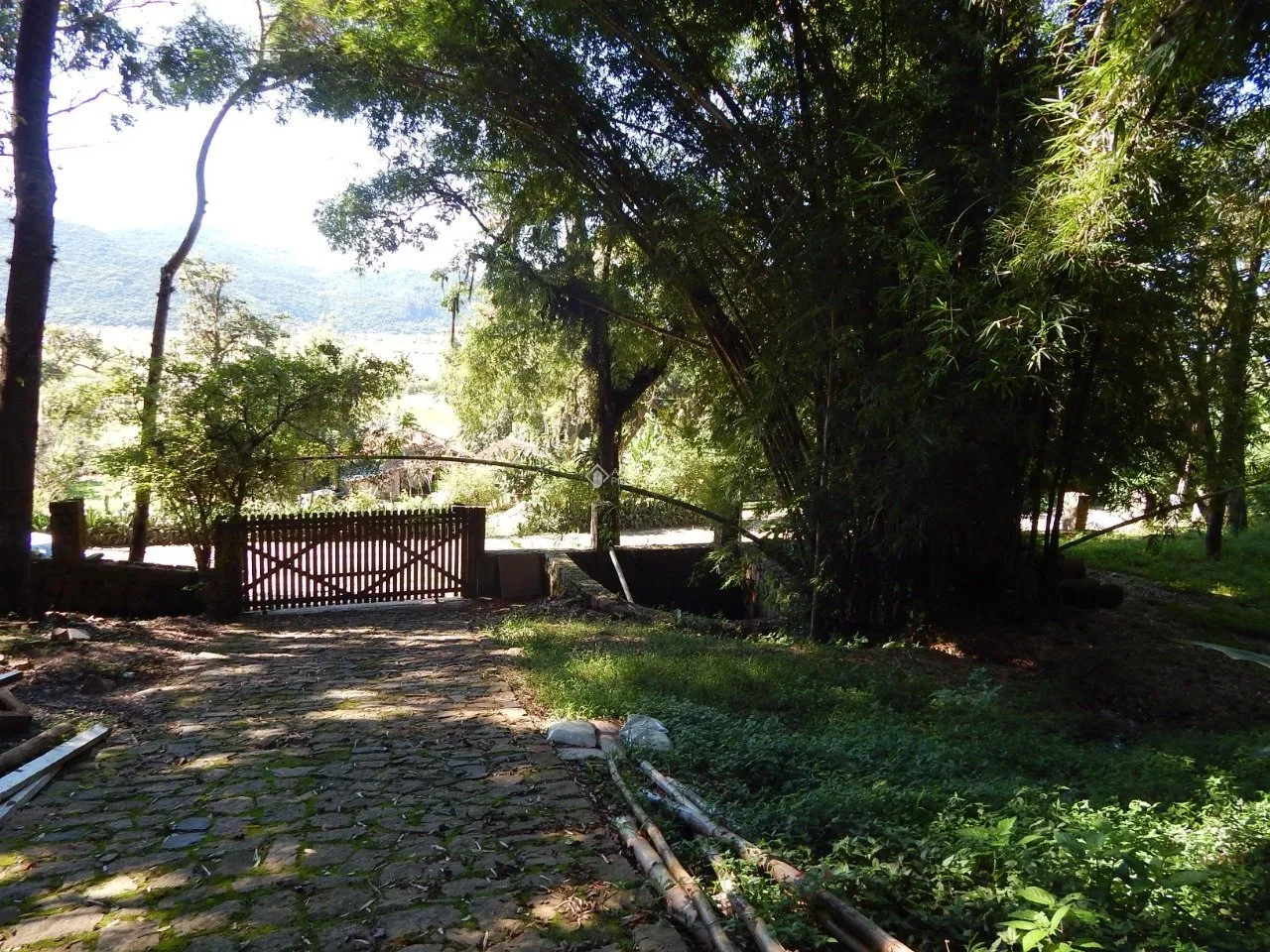 Imóvel Rural à venda com 2 quartos, 20000m² na Rozália Paulina Ferreira no Pântano do Sul, Florianópolis — foto 6
