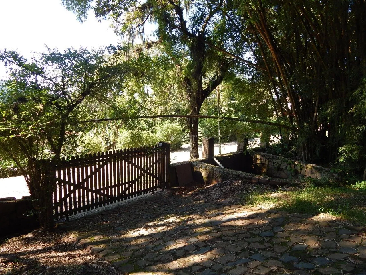 Imóvel Rural à venda com 2 quartos, 20000m² na Rozália Paulina Ferreira no Pântano do Sul, Florianópolis — foto 7