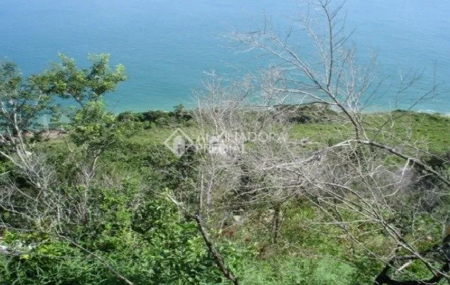 Imóvel — foto 5