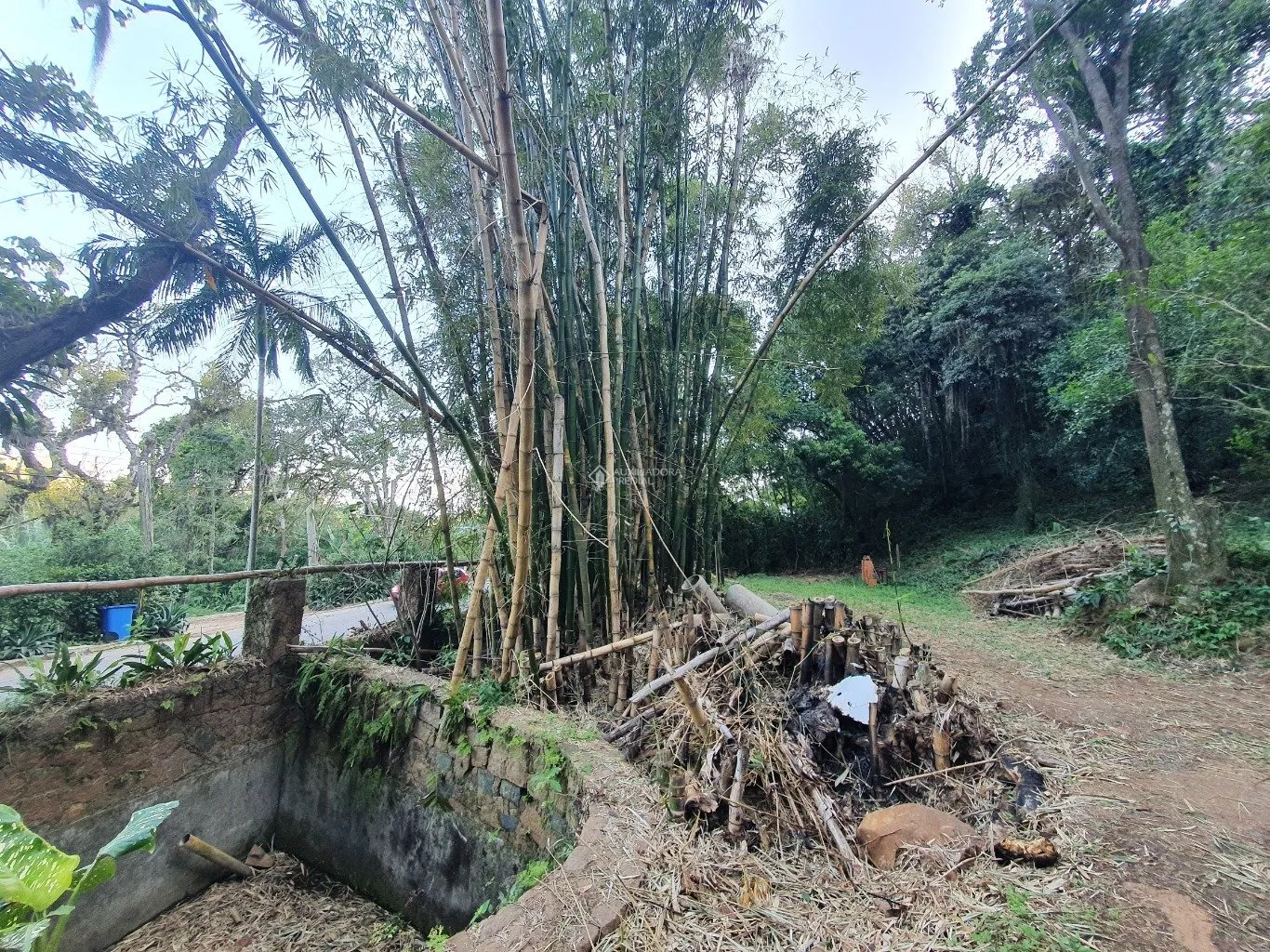Imóvel — foto 3