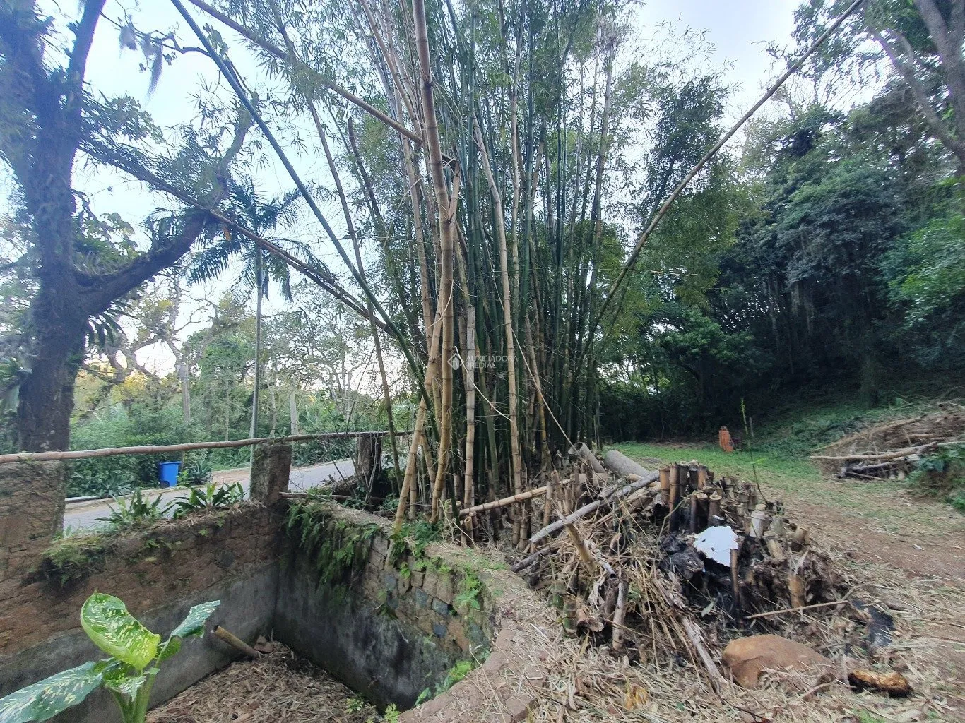 Imóvel — foto 4