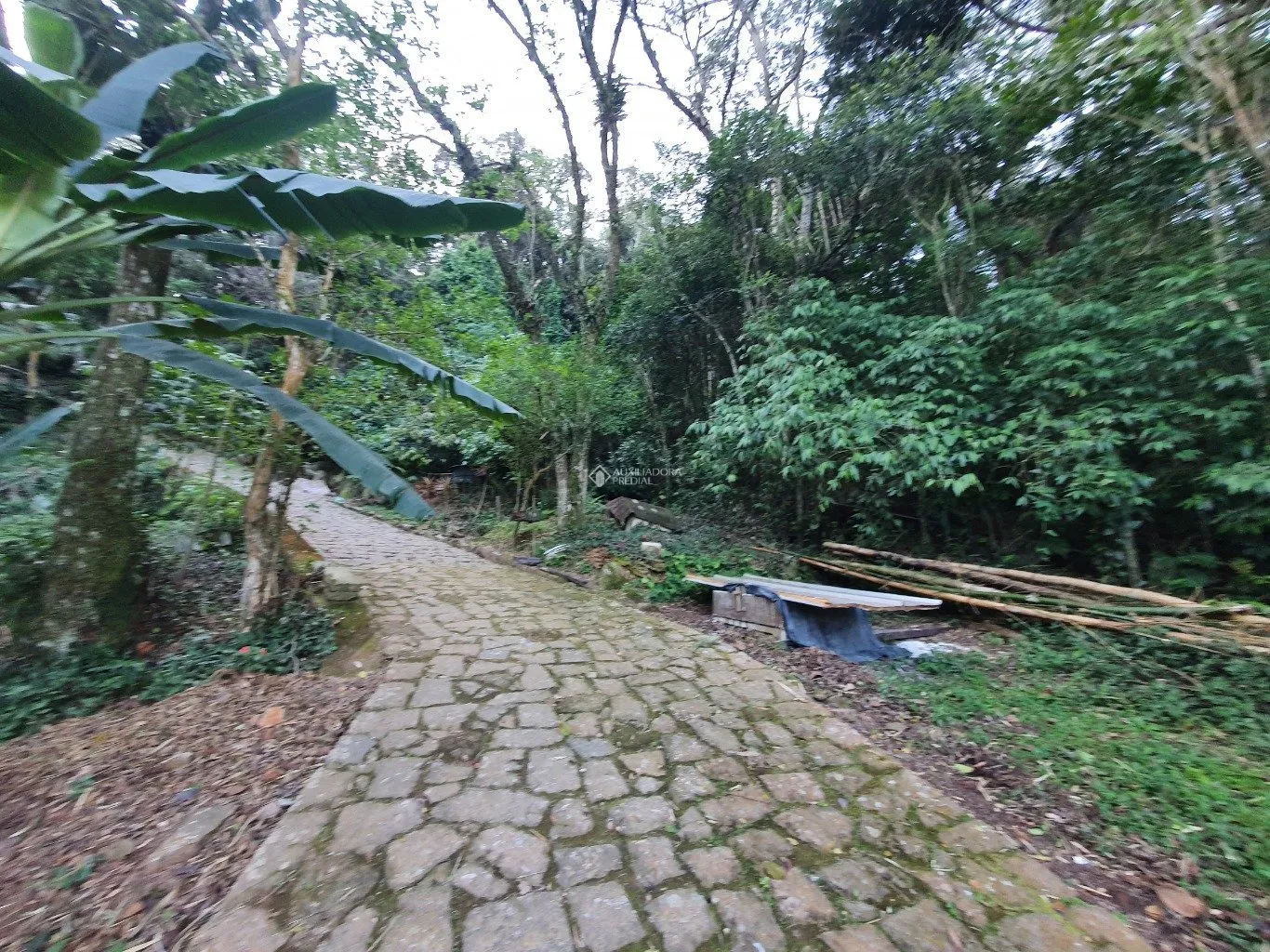 Imóvel — foto 7