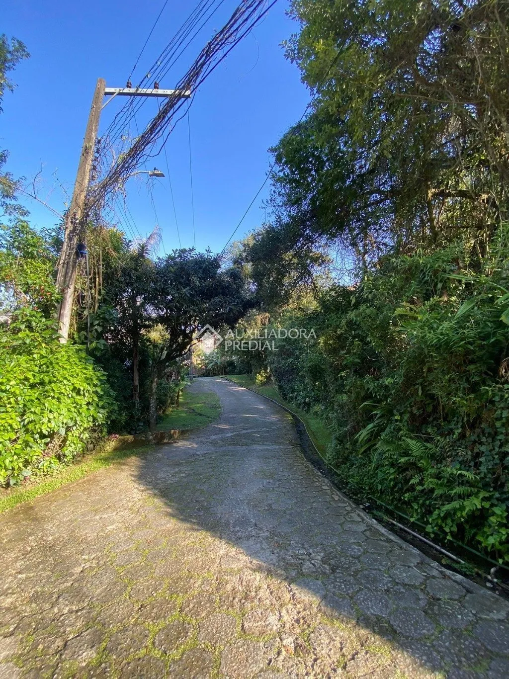 Imóvel — foto 3