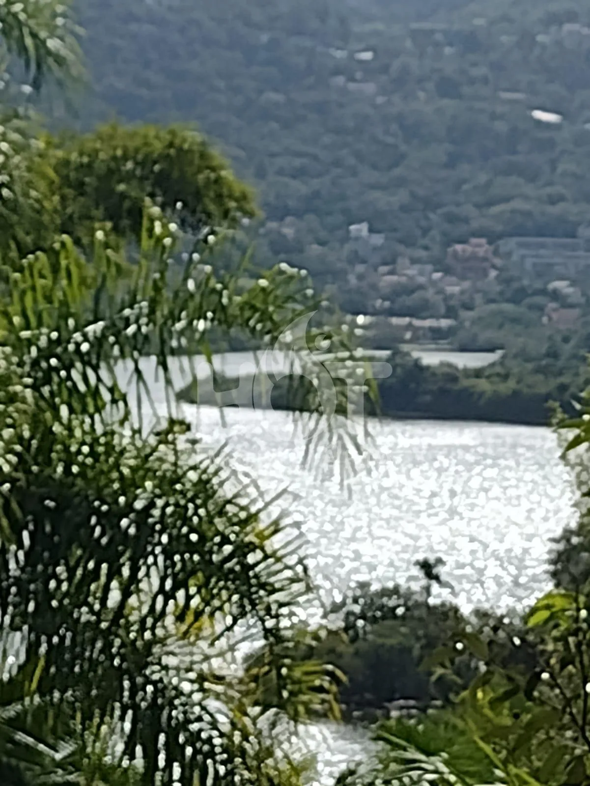 Imóvel — foto 2