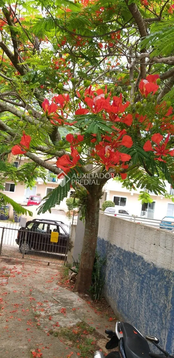 Imóvel — foto 4