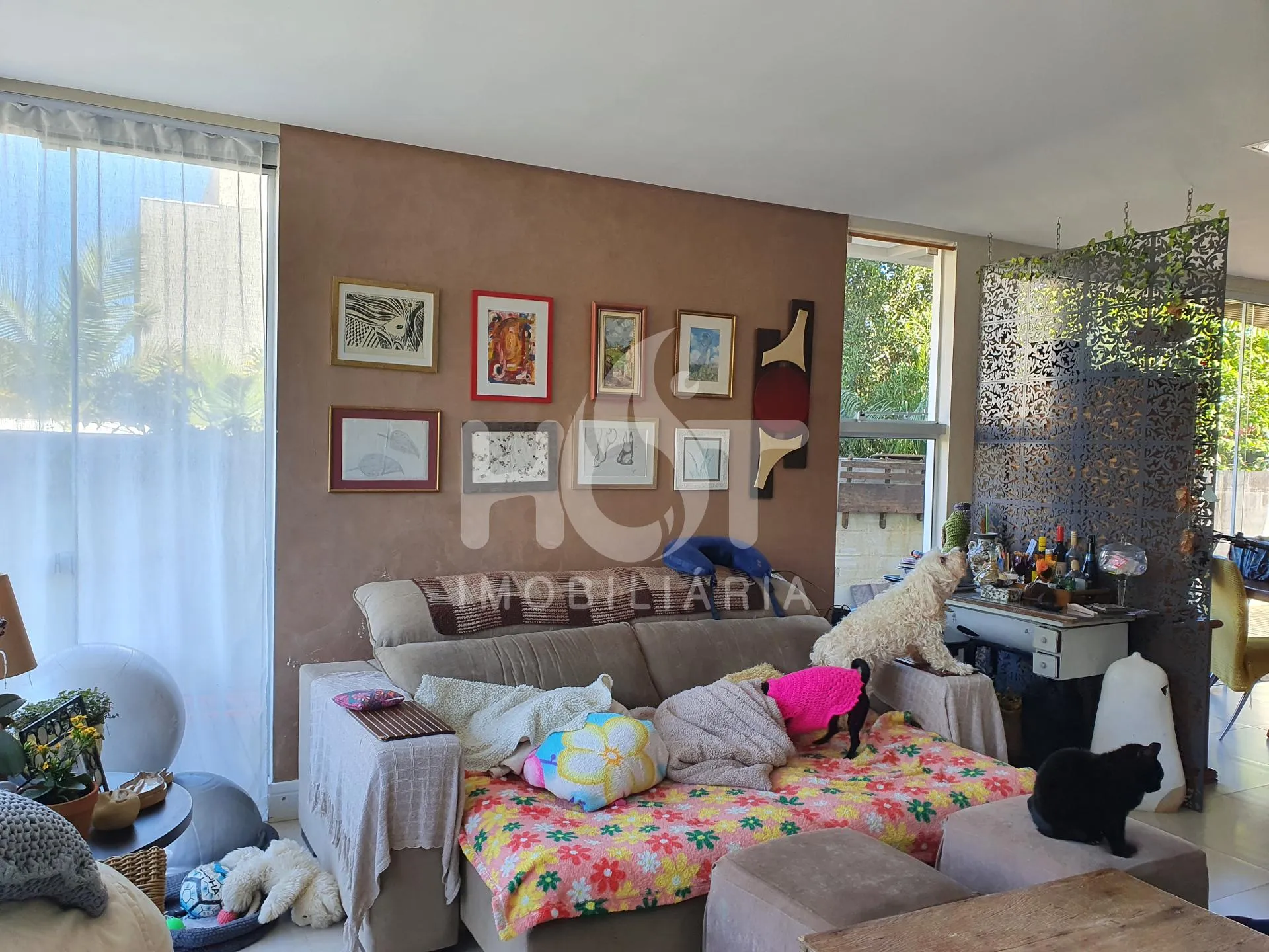 Casa à venda com 3 quartos e 1 suíte, 200m² na ANA MARIA DA COSTA no Campeche, Florianópolis — foto 5