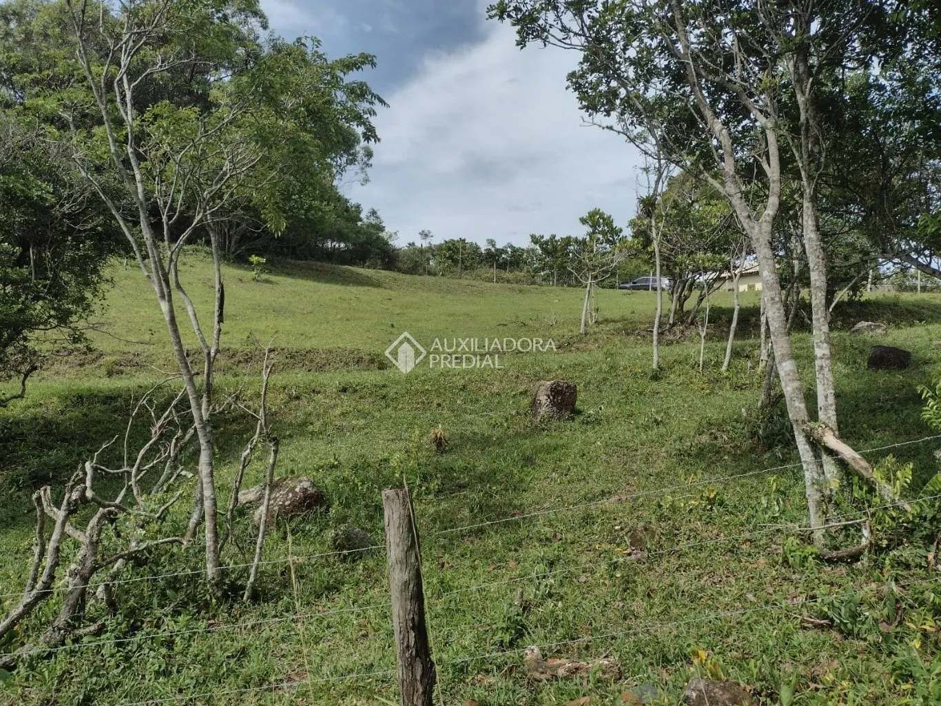 Imóvel - foto 1