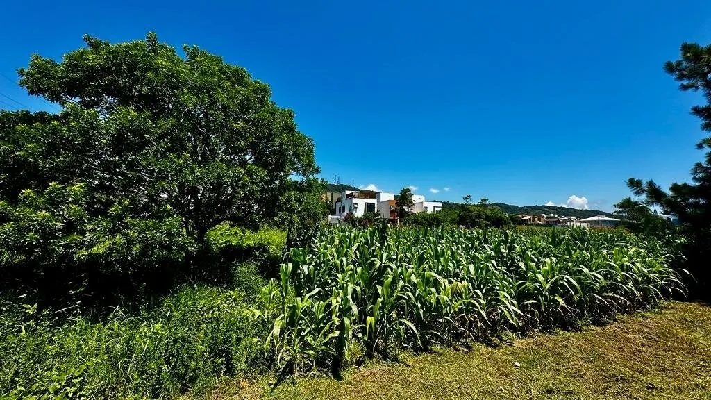 Imóvel — foto 3