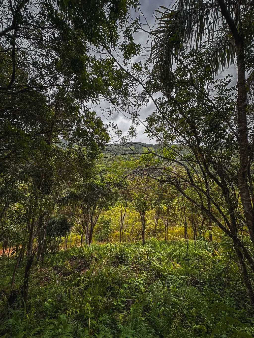 Imóvel — foto 5