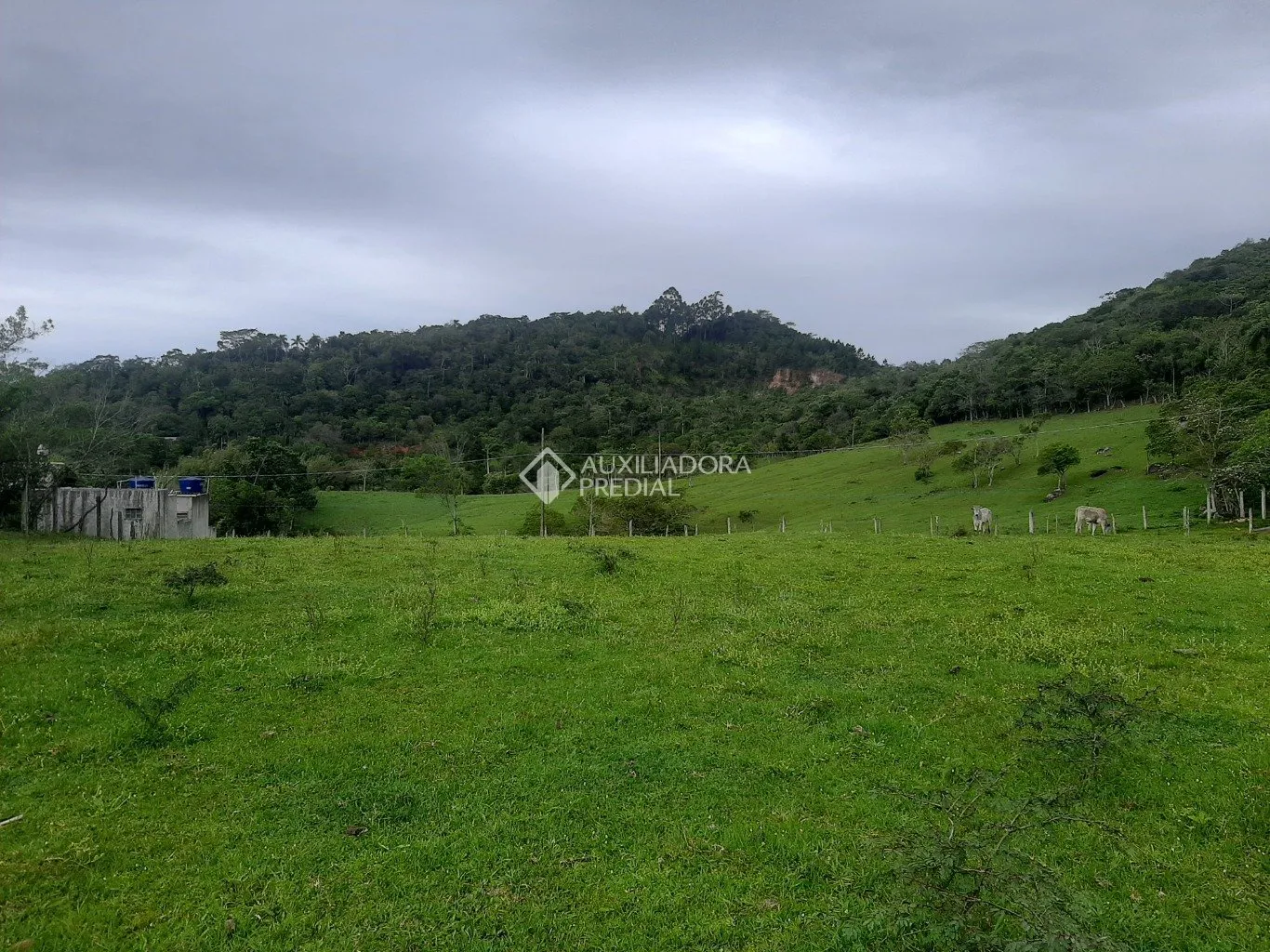 Imóvel — foto 5