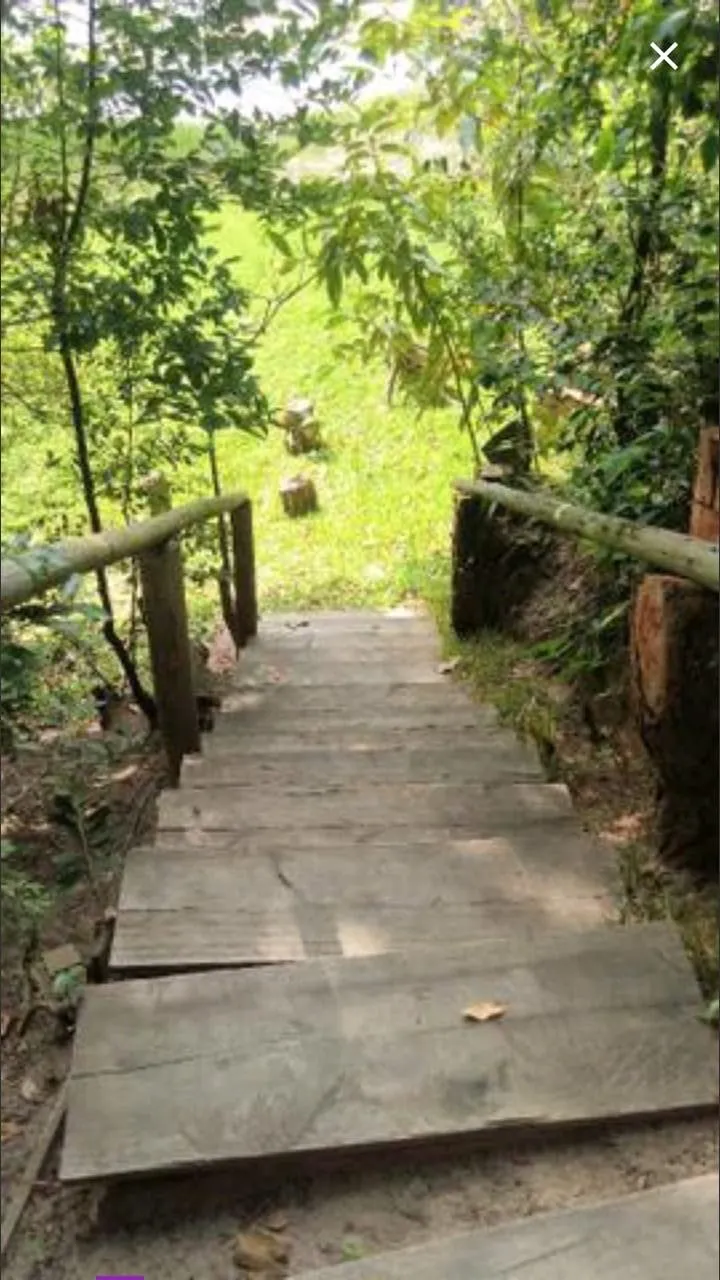 Imóvel — foto 4