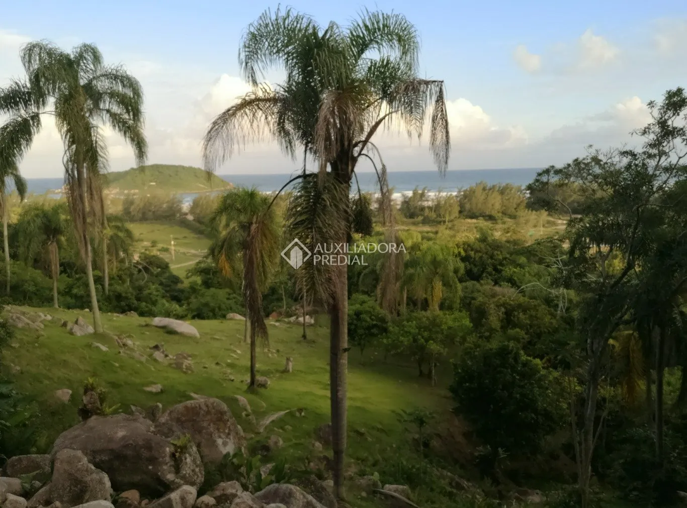 Imóvel - foto 1