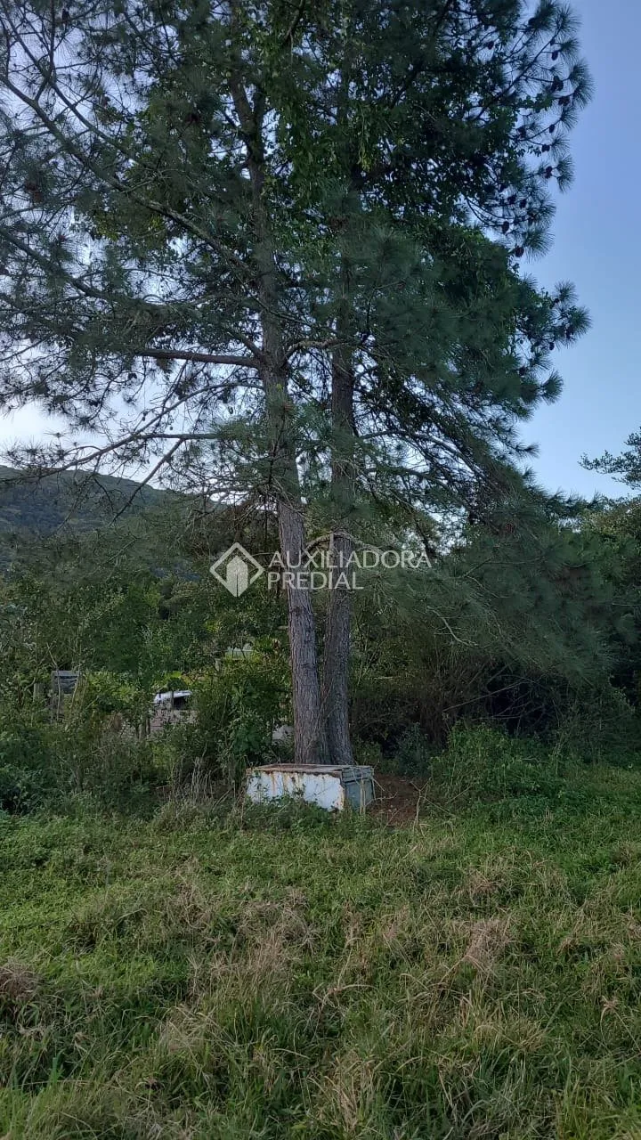 Imóvel — foto 2