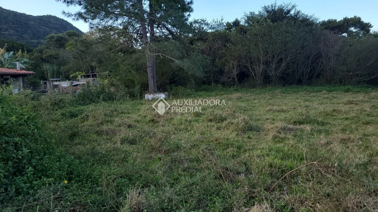 Imóvel — foto 4