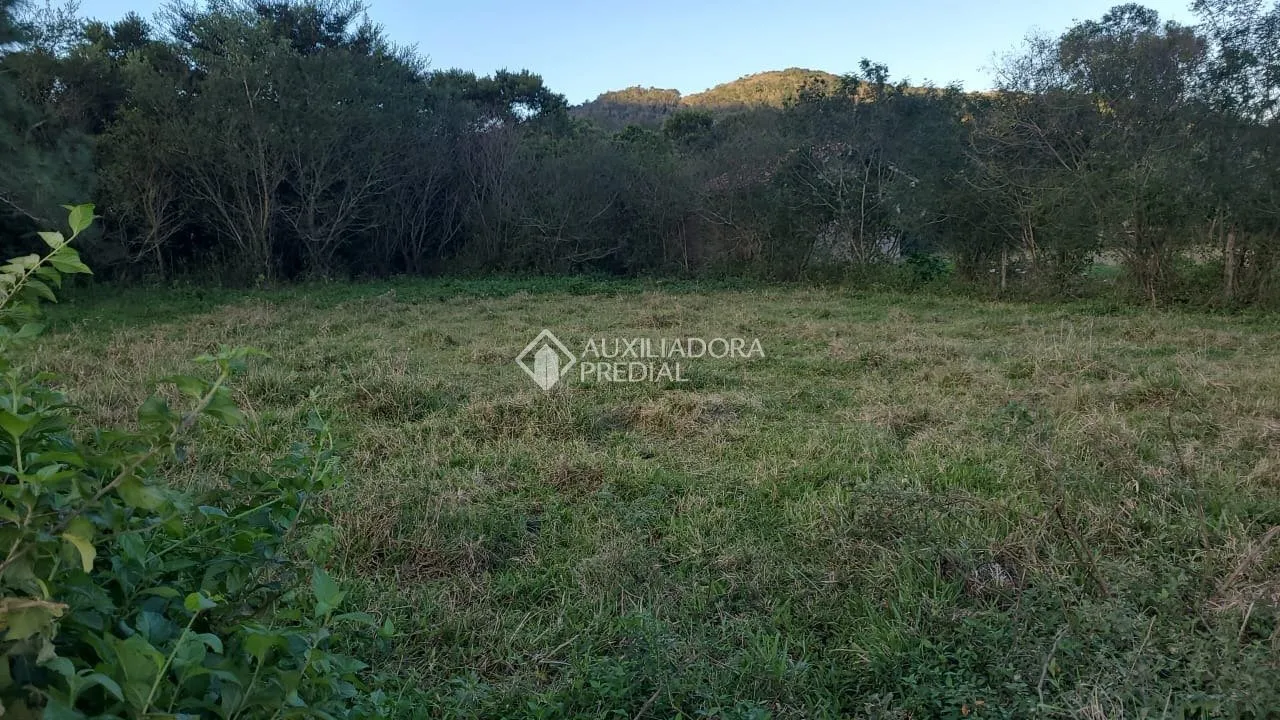 Imóvel — foto 5