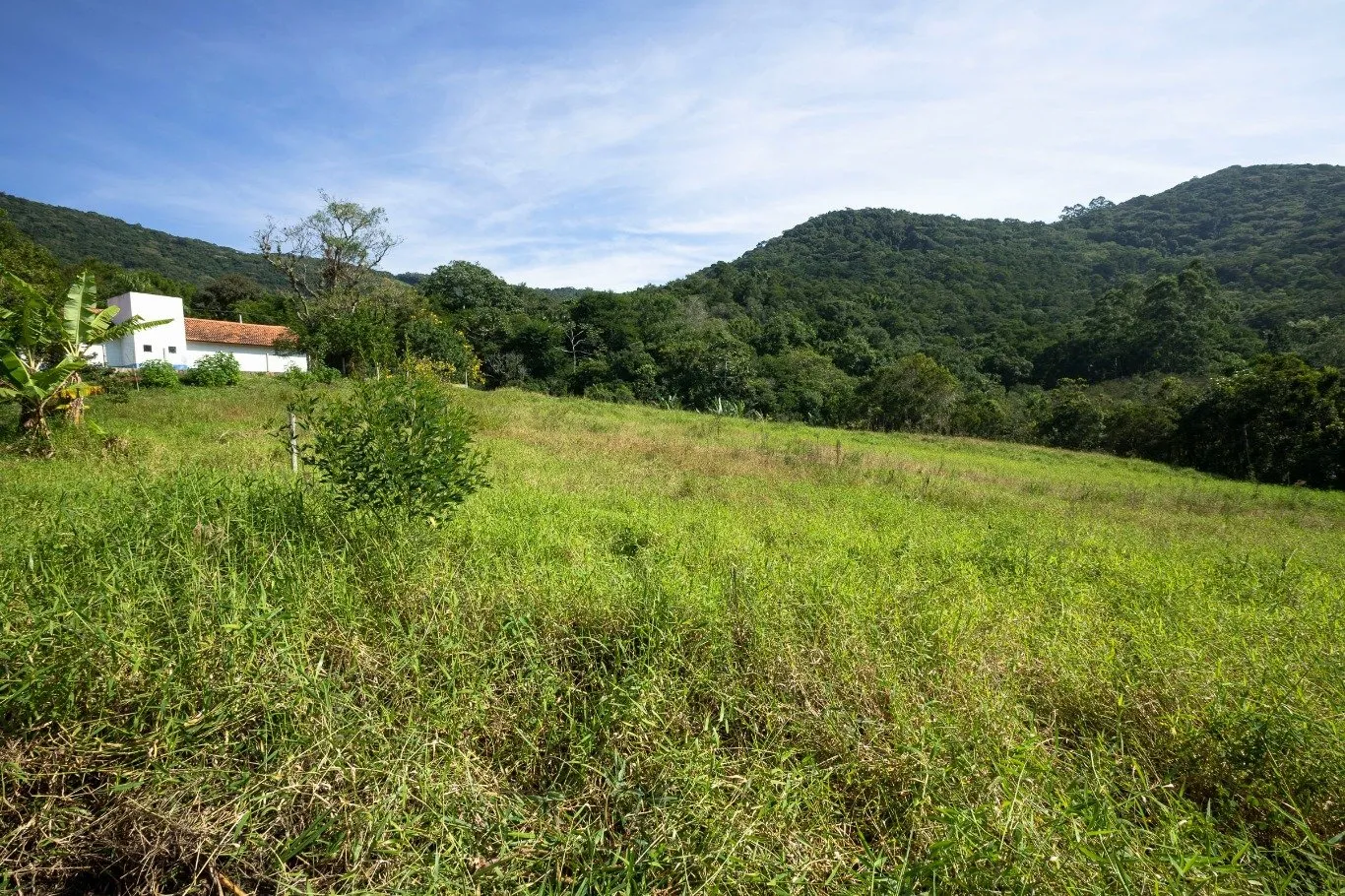 Imóvel - foto 1