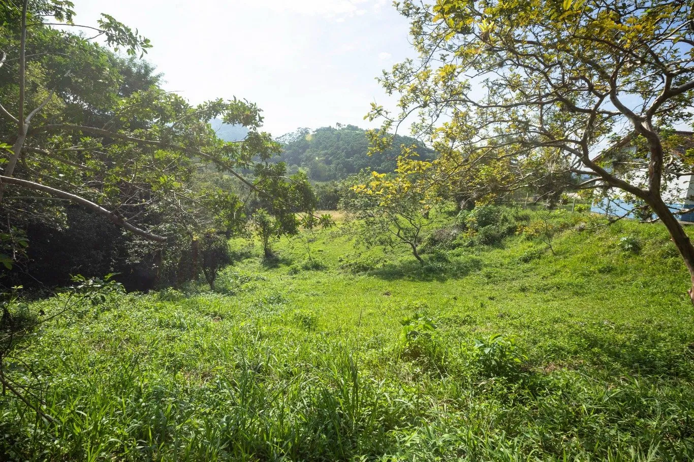 Imóvel — foto 2