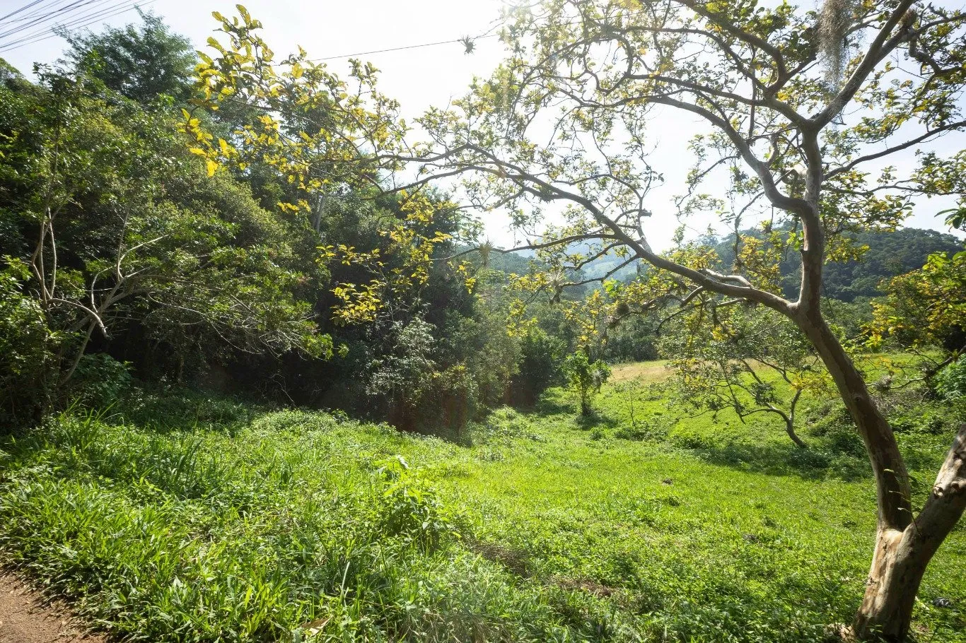 Imóvel — foto 5