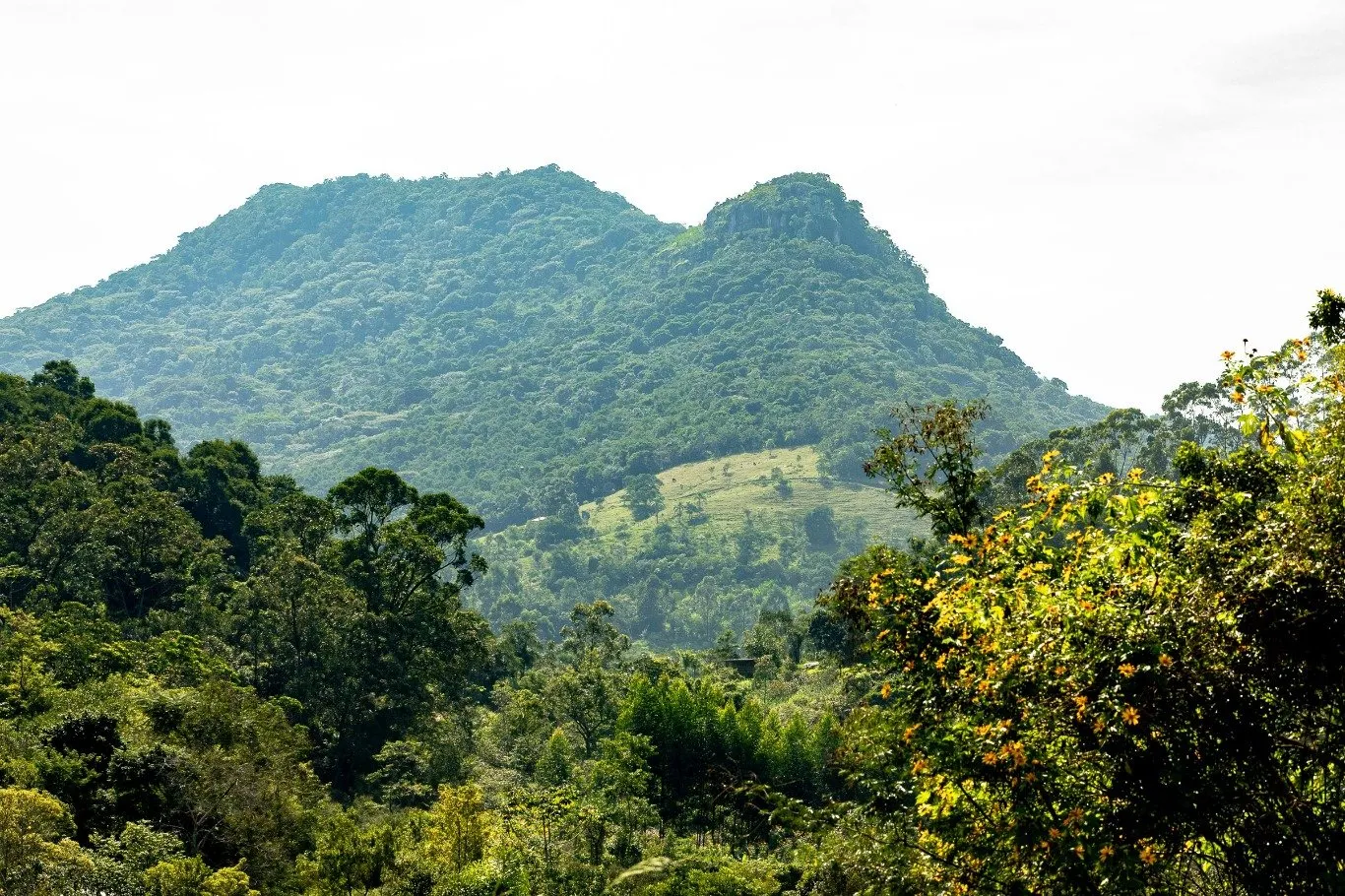 Imóvel — foto 6