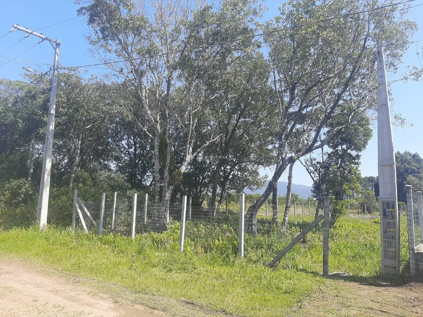Imóvel — foto 4