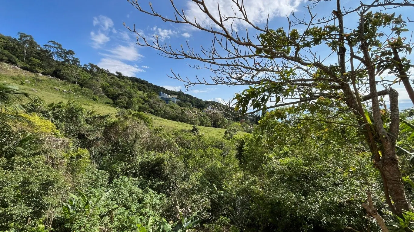 Imóvel — foto 2