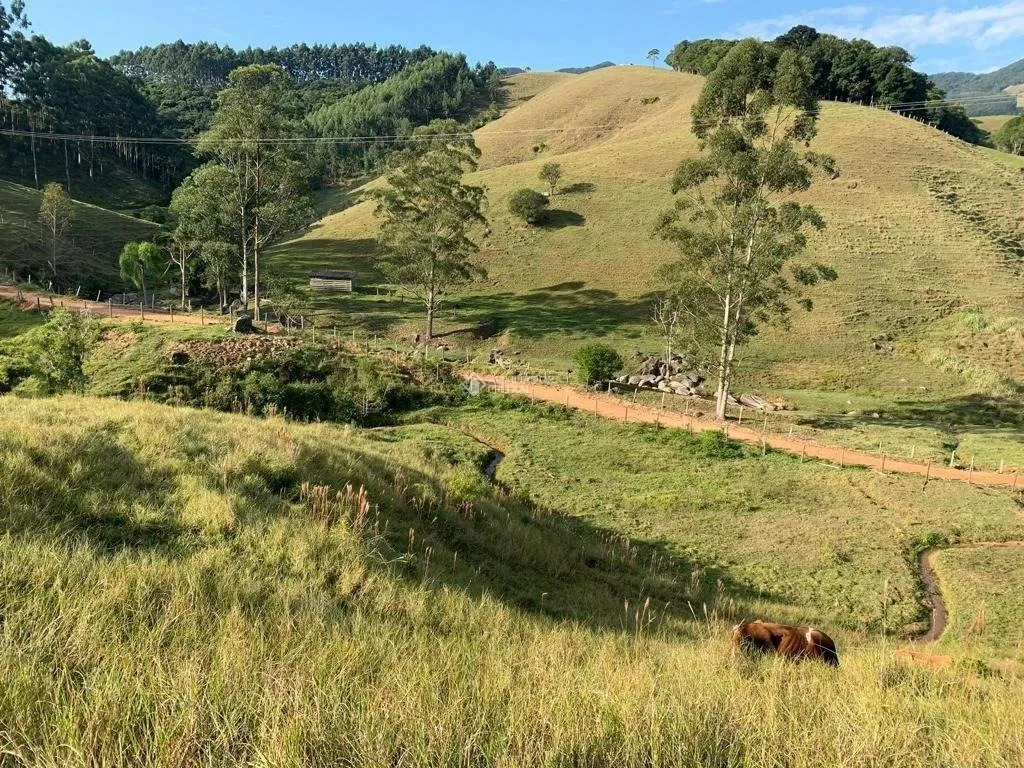 Imóvel — foto 5