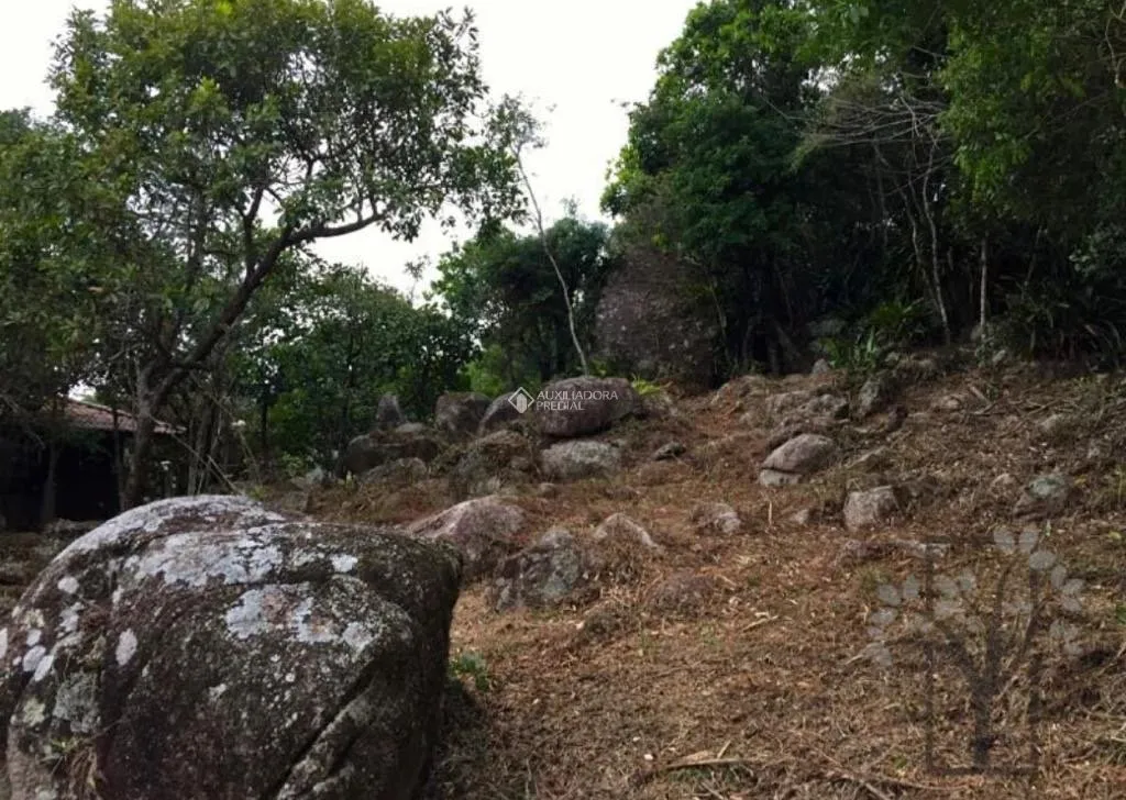 Imóvel — foto 2