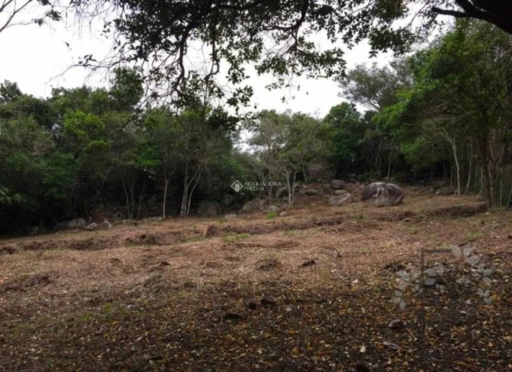 Imóvel — foto 6