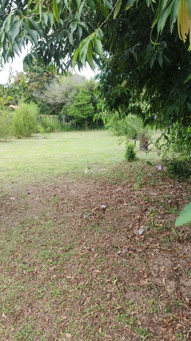 Imóvel — foto 4