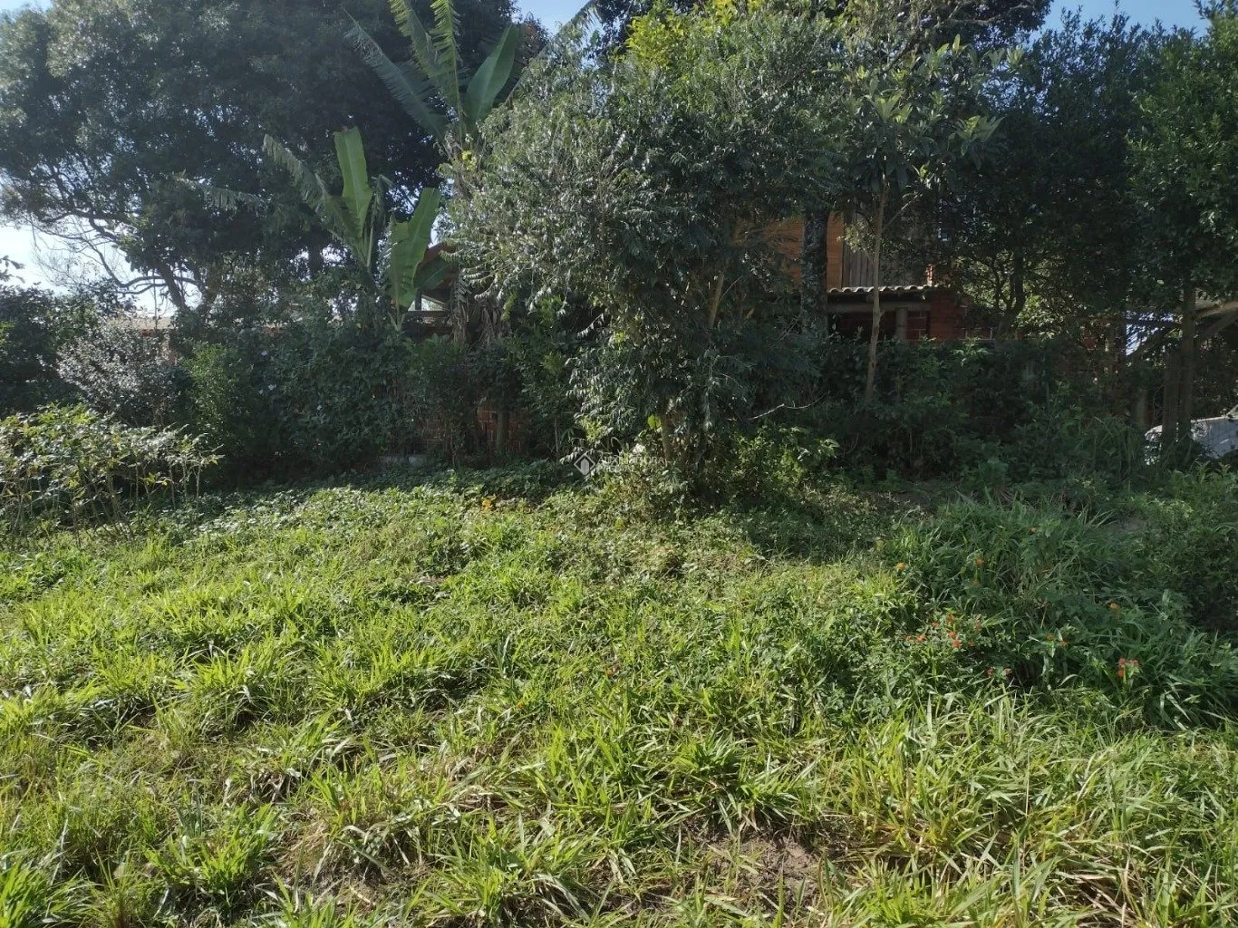 Imóvel — foto 3