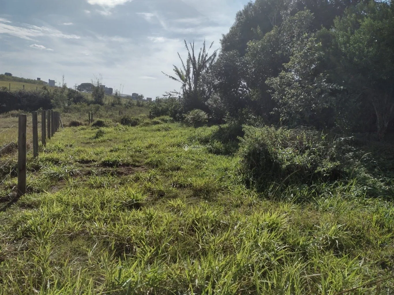 Imóvel — foto 5