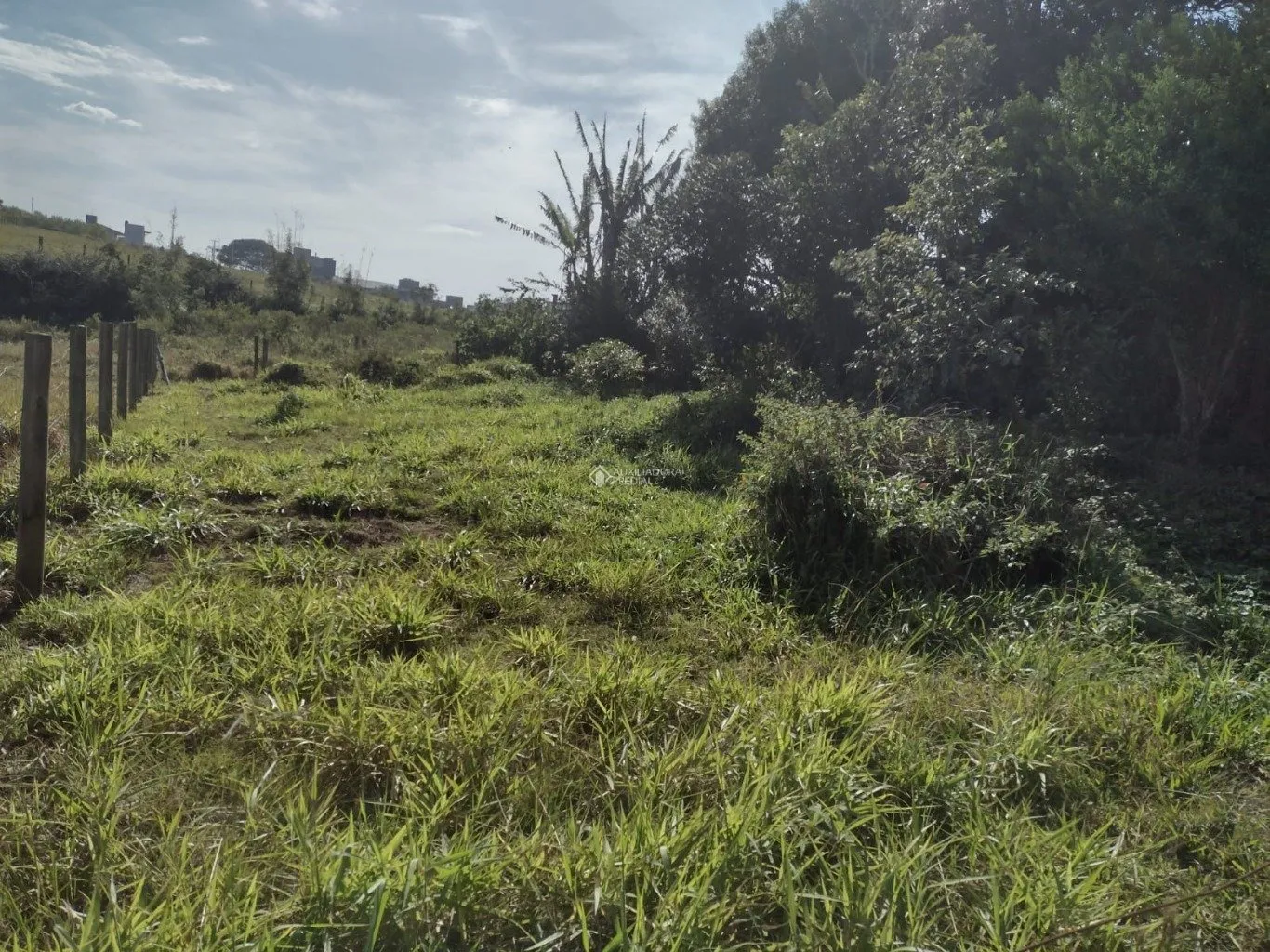 Imóvel — foto 6