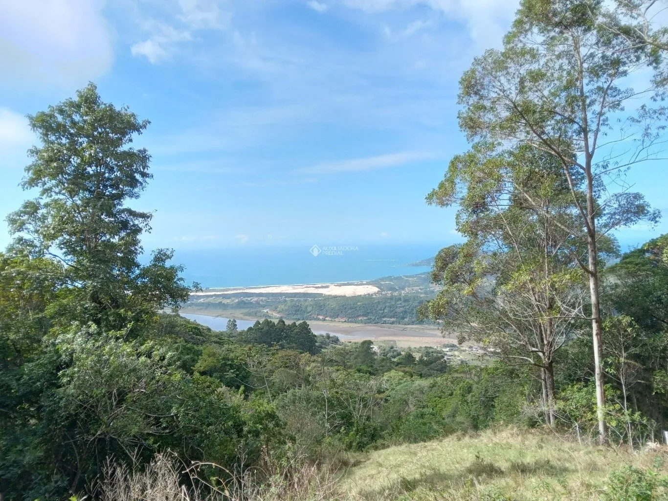 Imóvel - foto 1